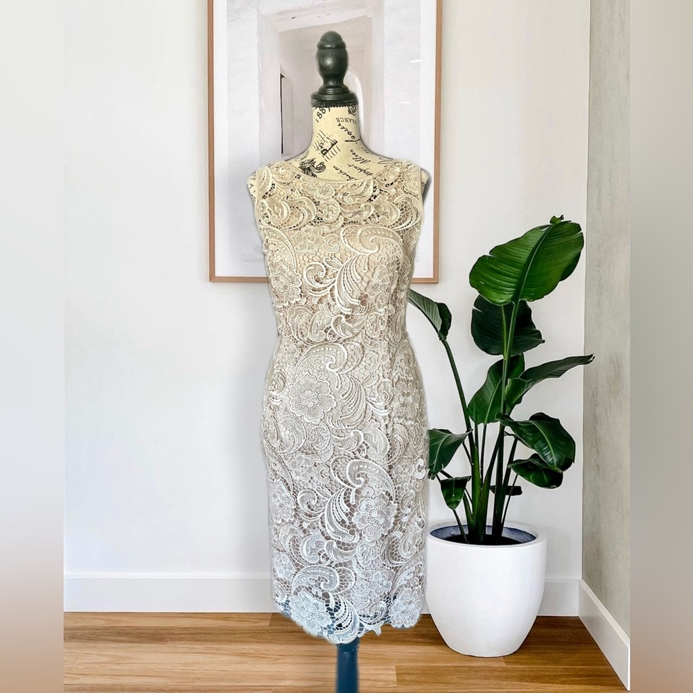 Light Gold Lace Cache dress, Size 8